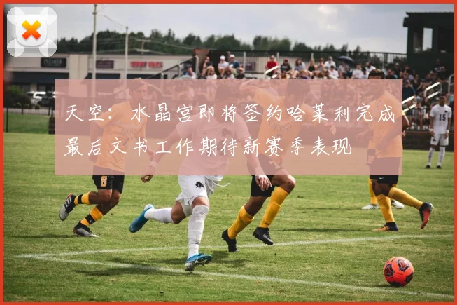 天空：水晶宫即将签约哈莱利完成最后文书工作期待新赛季表现